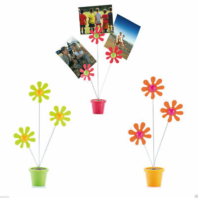 Multi Fotohalter Blumenform 25,5 cm (ca. 12'') in klarer Acetatbox