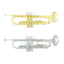 Trumpet Bb B Flat Brass Exquisite With Mouthpiece VPIO