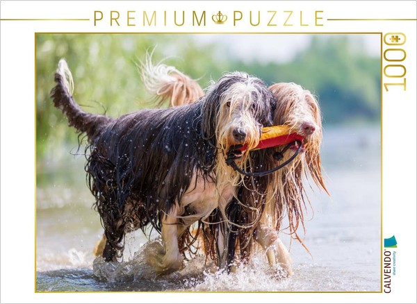 Calvendo Puzzle Two Bearded Collies In The Water | 1000 Pieces, Finished Size 25-image