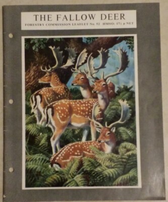 THE FALLOW DEAR UK Forestry Commission Leaflet # 52 1971