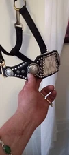  Chrome Girl Horse Halter ..Michael Kors Designer Edition..