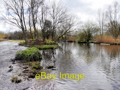 Foto 6x4 Martin Mere Wetland Centre Tarlscough c2016