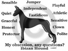 Ibizan Hound Dog Obsession, Any Questions? T-shirt Choices