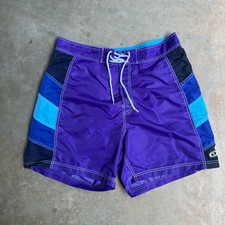 Tommy Hilfiger Board Shorts Men  s Size Large Vintage Colorway Summer Swimtrunks