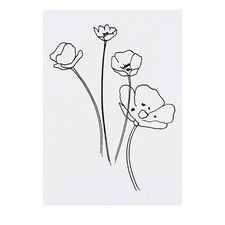 'Buttercups' Temporary Tattoos / Transfers TO00029644 