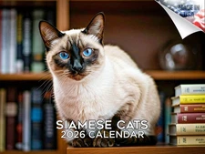 Cats Siamese Calendar 2026 12x18 Made in USA