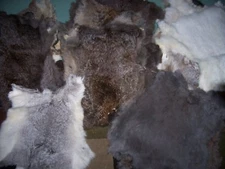Lot of 50 Rabbit Pelt Hide Fur for Crafts Decretive Natural Colors