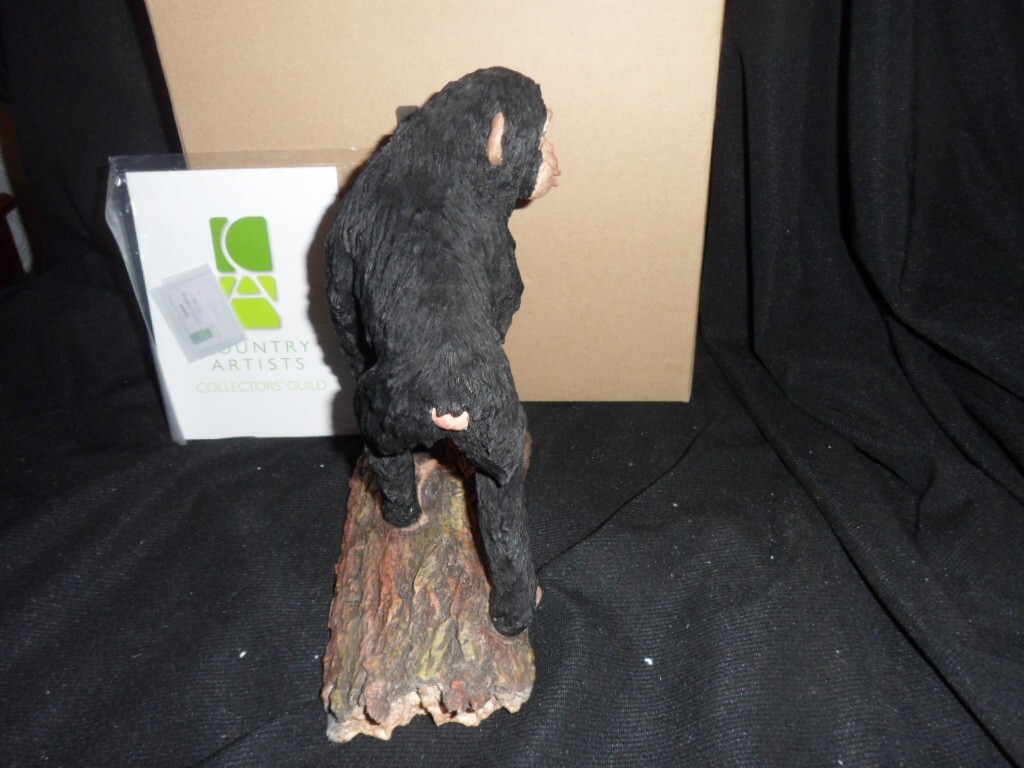 Picture 4 of 6