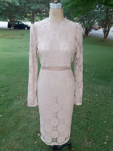 Long Sleeve Lace Bodycon Dress 