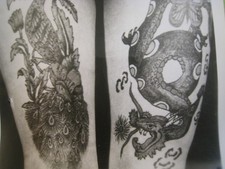 Vintage 7X5 in. Tattooed WOMAN Photo - Sideshow , KOBEL, T-685 DRAGON, PEACOCK