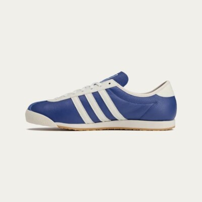Company × adidas Originals Italia Spezial Royal Men's Blue