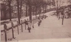 WW1 France RPPC 1918 French military cemetery with wreaths Photo Postcard