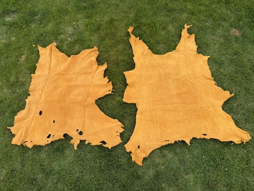 Vintage Commercially tanned Deer Hide Lot Of 2 