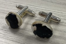 West Indian Top Magpie Wilk Whelk Seashell Silvertone Cufflinks