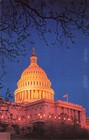 Washington DC US Capitol Dome at Night Vintage Standard Chrome Postcard Unposted
