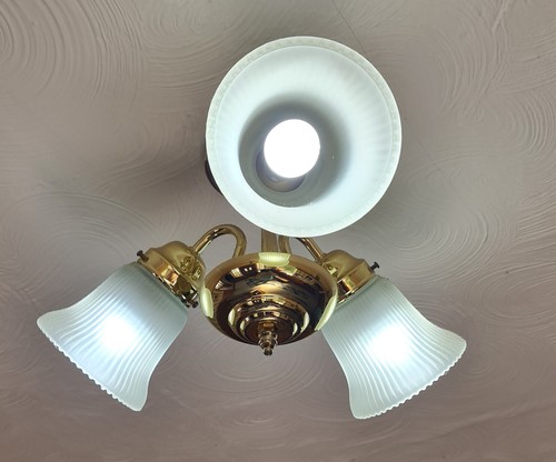 3 Arm/Way Ceiling Light/Chandelier. Brass Finish. Frosted Glass Petal Shades - Picture 2 of 7