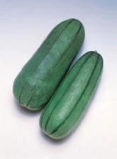 20 Pickling Melon Green Striped Cucumis melo var conomom Seed Free Shipping USA