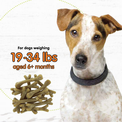 Dog Chews FIDO Super Breath Dental Care Dog Bone, Mini, 21 Count