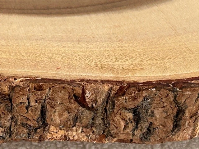 Authentic Lipper Tree Bark Feets Server Footed 11'" Diameter Wood Wooden Plate - Image 4 of 4