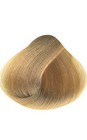 Bild 7 von 20
