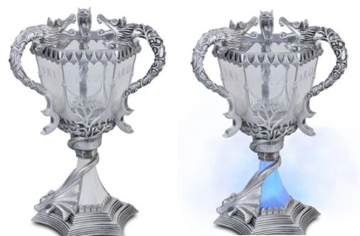 Harry potter goblet 2024 of fire cup