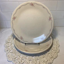 Set of 4 Corelle English Breakfast 10 ¼” Dinner Plates