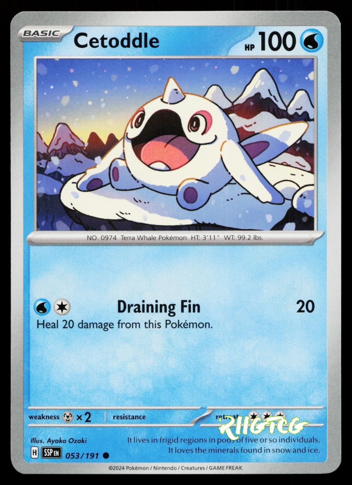 Cetoddle 053/191 Surging Sparks Pokemon NM