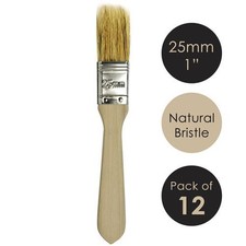 12 Natural Bristle Paint Brushes Mixed Sizes 0.5"–4" Gloss & Varnish Disposable