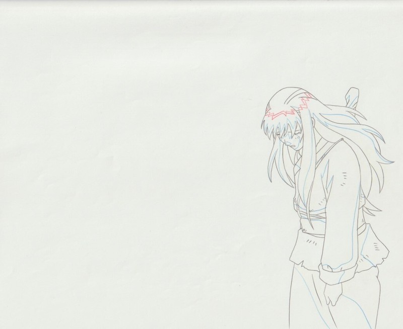 The Twelve Kingdoms Juuni Kokki Genga Douga Original Sketches Pierrot - Youko