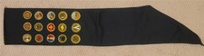 Sash 15 merit badges