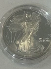 1999 P Mirror American Silver Eagle Choice Proof Bullion $1 Coin OGP COA