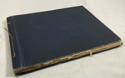 #ad #ad Gorgeous Botany Hand Drawn Study amp; Pressed Flower In Designs Book 1899 1901 LQQK $249.99