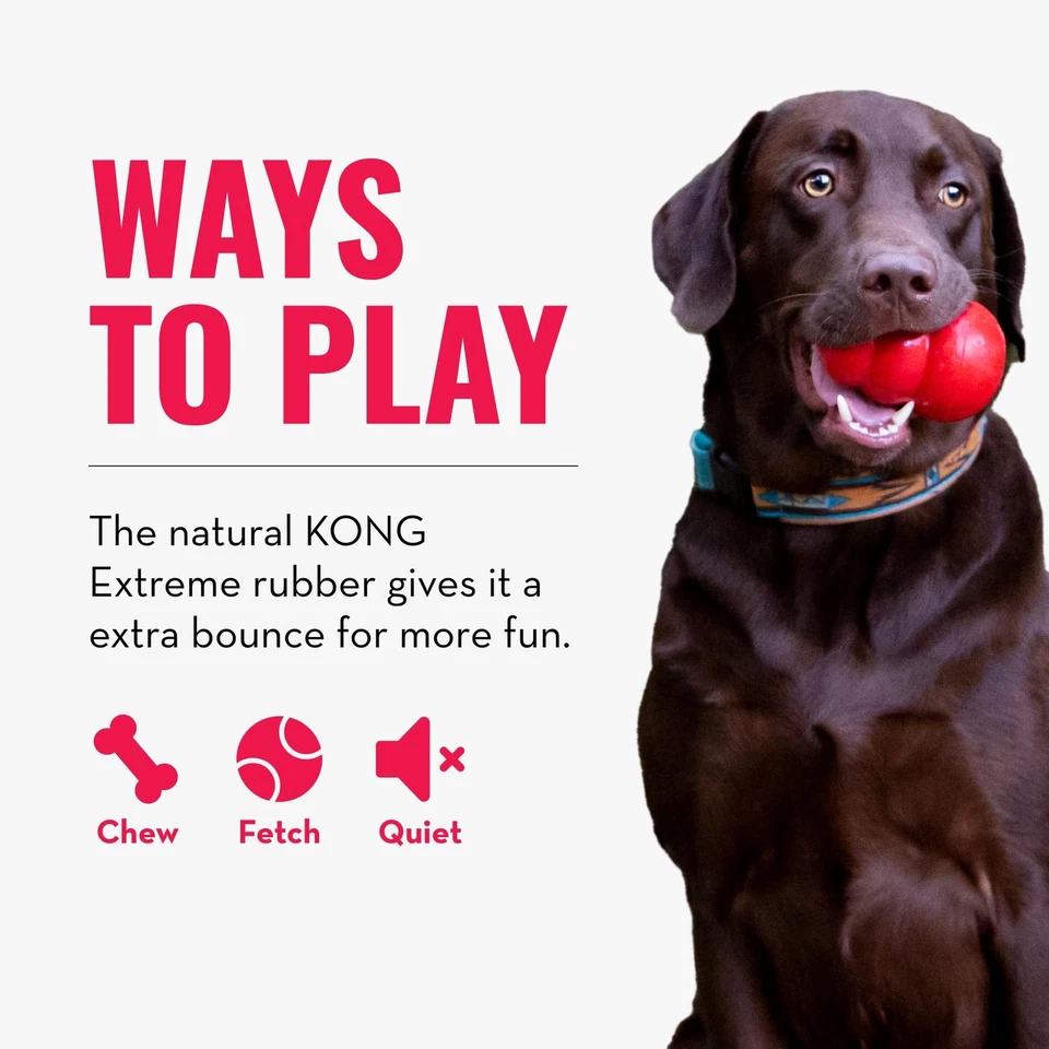 KONG Extreme Ball Con Foro Durevole Giocattolo per Cani in Gomma Naturale per l - Immagine 4 di 4