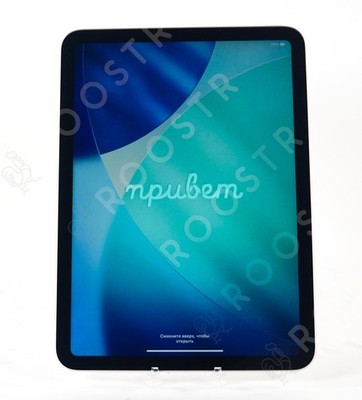Apple iPad 10.9" 10th Generation 64GB Wi-Fi + Cell Silver MQ6J3LL/A • Very Good
