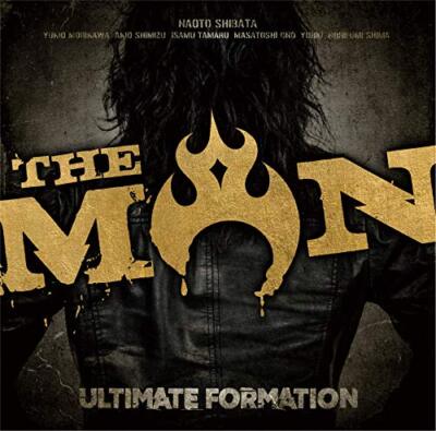  Man CD11枚セット THE MAN ULTIMATE FORMATION NAOTO SHIBATA ANTHEM JAPAN 2 LIVE CD