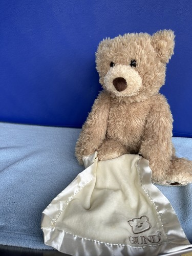 Sprechender Teddy GUND PEEK A BOO TEDDY BEAR In 31319 Sehnde Für € 65 - Foto 6