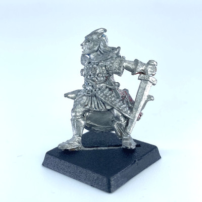 Dunkelelfenkämpfer - Dunkelelfen - Zitadelle Warhammer Fantasy Classic Metall X17006