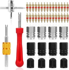 Tire Valve Stem Removal Tool Set, 4-in-1 Valve Core Puller & Installer Valve