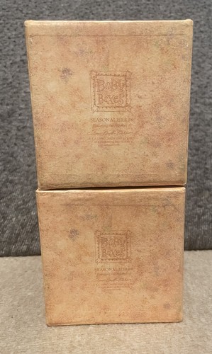 Bob's Boxes Nesting Set of 2 FRESH HERBS Artist Sherri Buck Baldwin - Picture 6 of 6