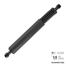 Rear Tailgate Right Lift Supports Shock Struts Compatible with Select