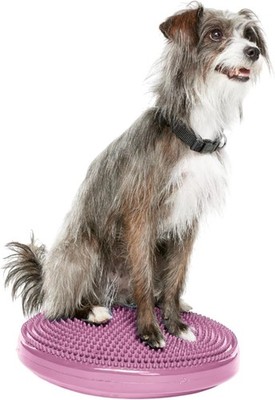 FitPAWS 14'' Razzleberry Dog Balance Disc for Core Strength