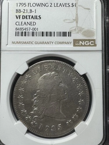 1795 Flowing Hair Dollar NGC VF Details (Cleaned) BB-21 B-1