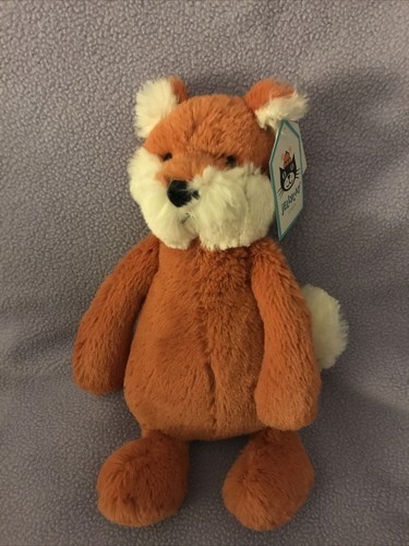 bashful fox cub