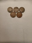 lot of 5  indian head pennies