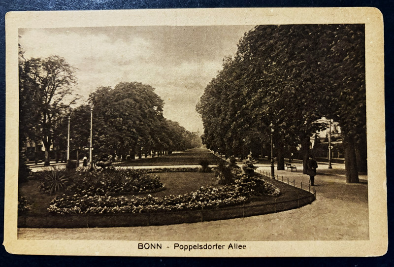 VTG POSTCARD BONN GERMANY Poppelsdorfer Allee photo UNPOSTED