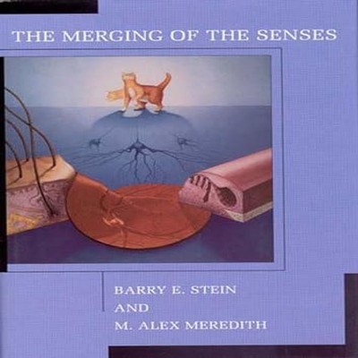 The Merging of the Senses Barry E. Stein Paperback Penguin Random