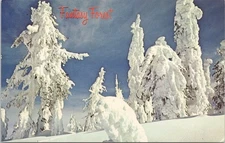 POSTCARD-FANTASY FOREST, PACIFIC NORTHWEST
