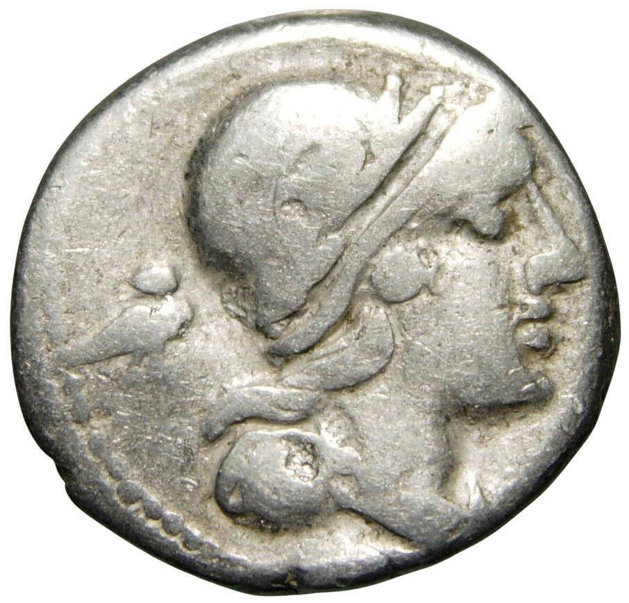 Foto 2 di 3