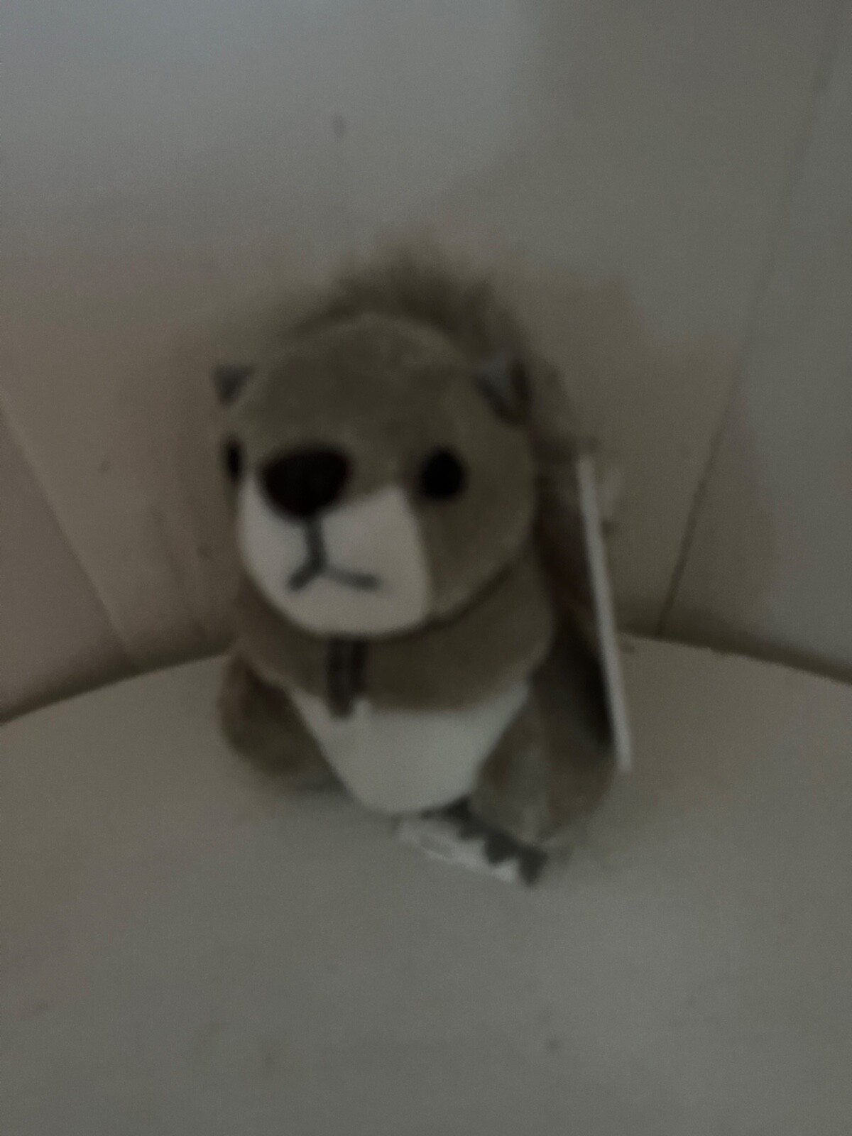 The Puppet Company GREY SQUIRREL Finger Puppet UK SELLER