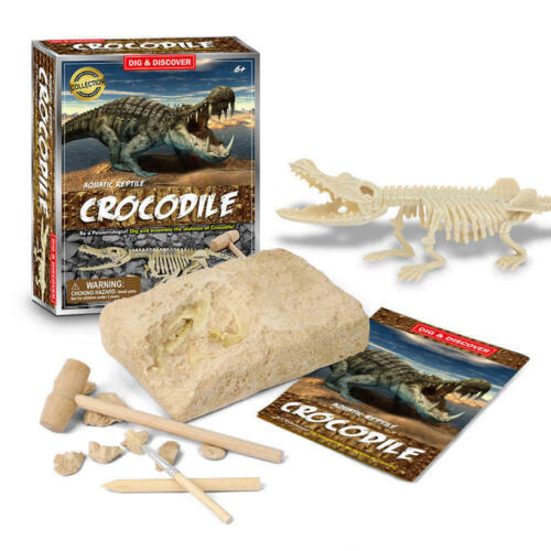 Dinosaur Triceratops Digging Kit Assemble Excavation Archeology Children Fossil